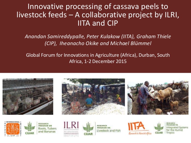 Innovative Processing Of Cassava Peels To Livestock Feeds—A ...